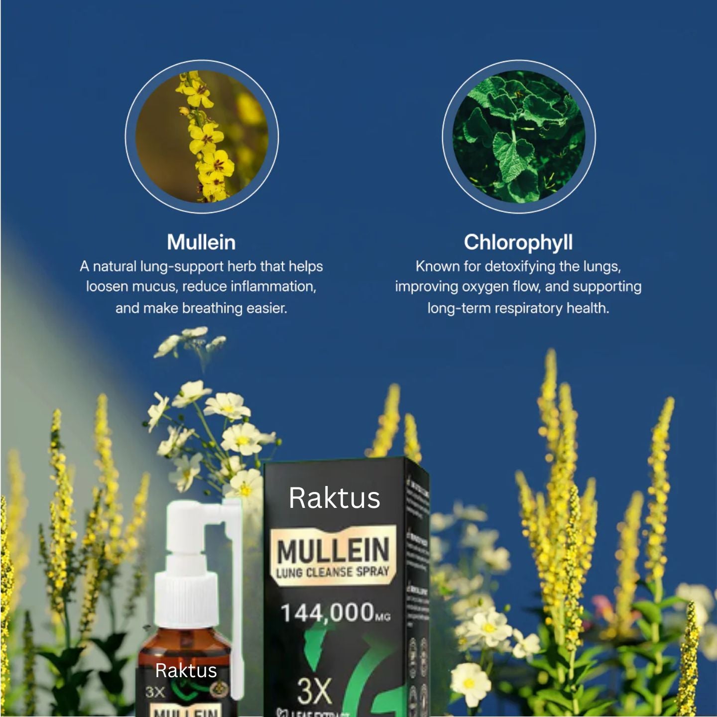 Raktus | Mullein + Chlorophyll Lung Spray