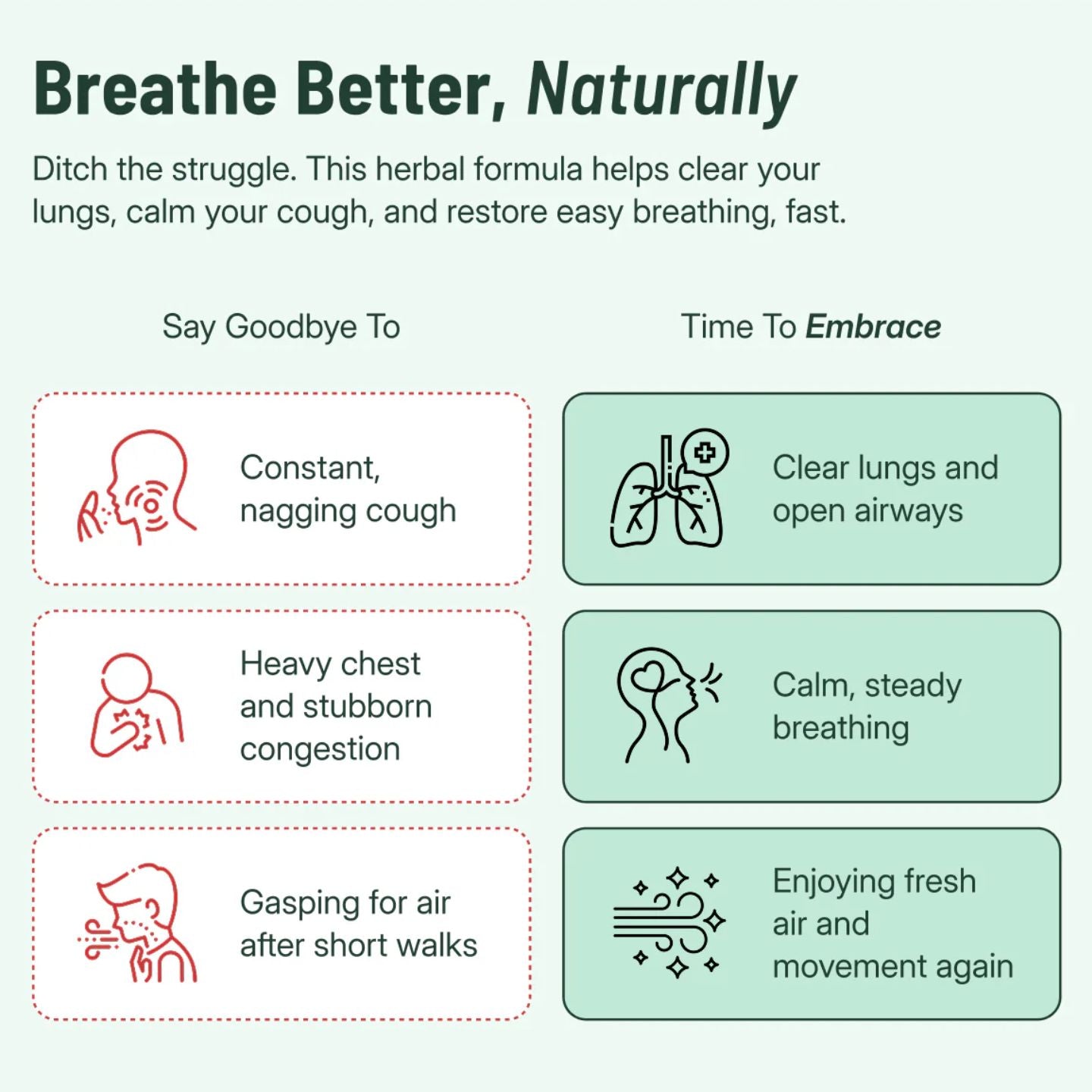 Raktus | Mullein + Chlorophyll Lung Spray